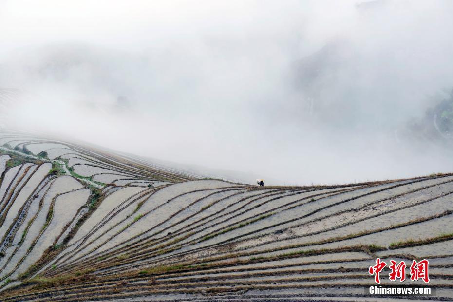 雲霧渦巻く竜脊棚田の幻想的な風景　広西壮（チワン）族自治区