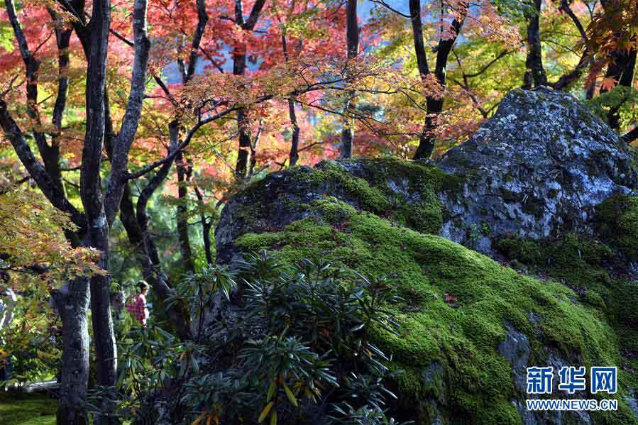 紅葉に彩られた京都の嵐山