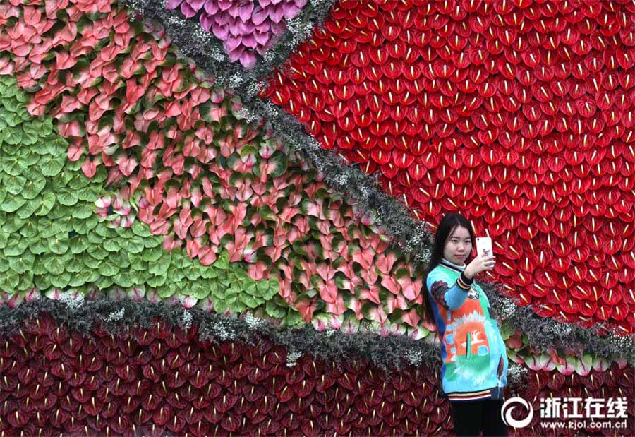 花々の海に迷い込んだような美しさ　杭州「都市の花フェスティバル」