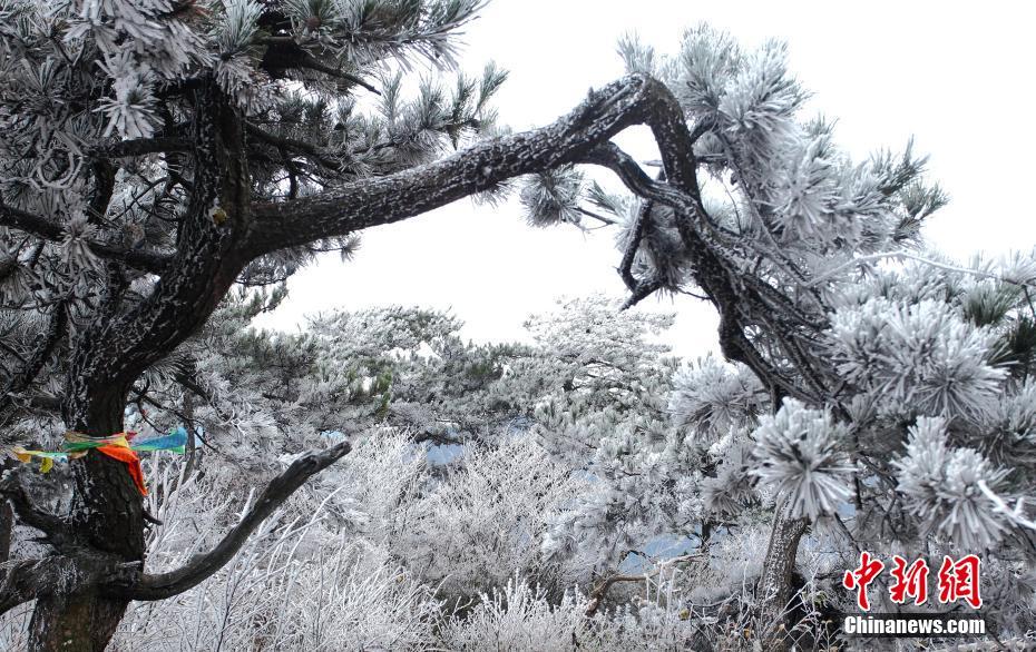寒波で廬山に美しい樹氷現る　江西省