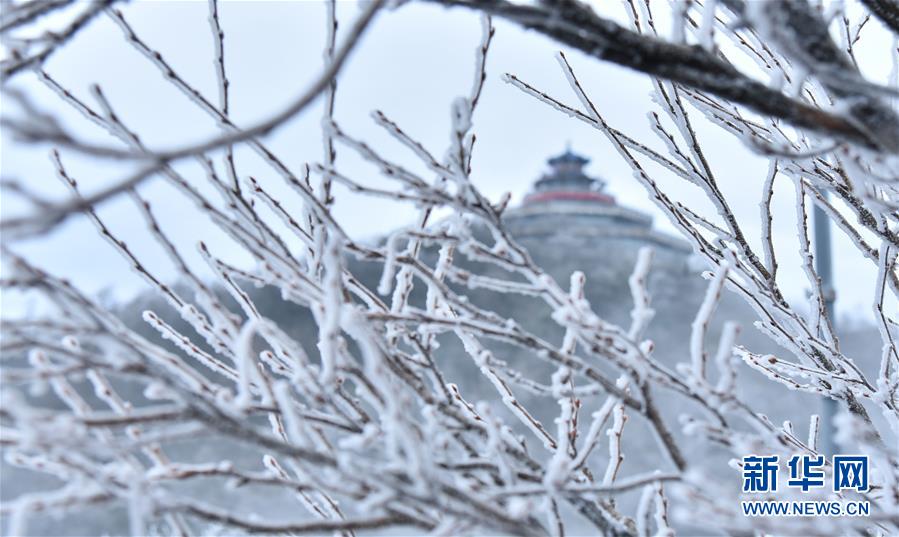 絵画のような美しい雪景色　樹氷で飾られた張家界の山