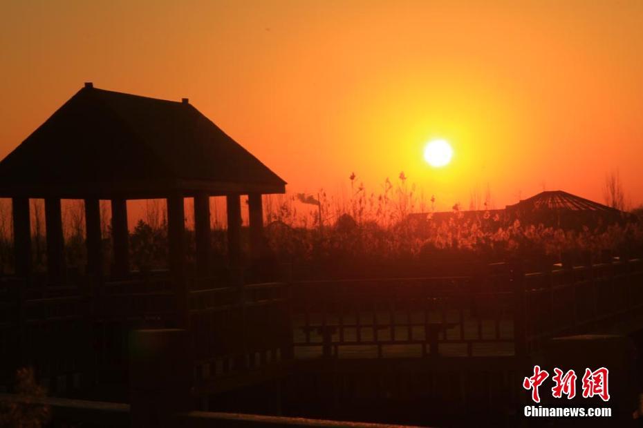 初冬、夜明けの太陽に赤く染まるゴビ湿地　甘粛省