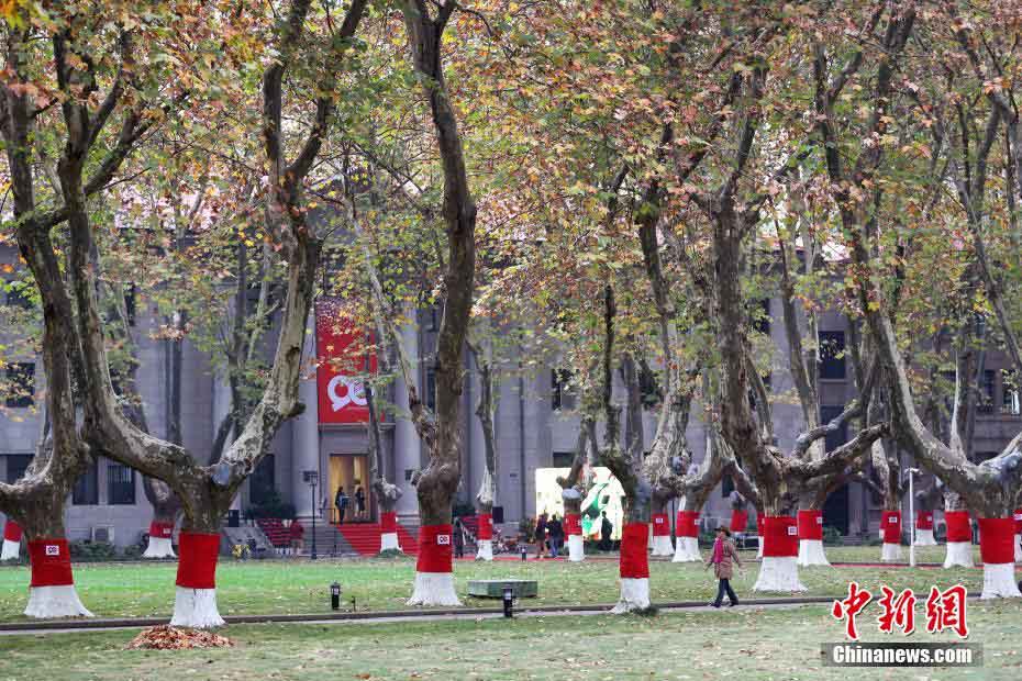 赤い「セーター」を着て、ほっこり心温まるキャンパス内の並木道　南京