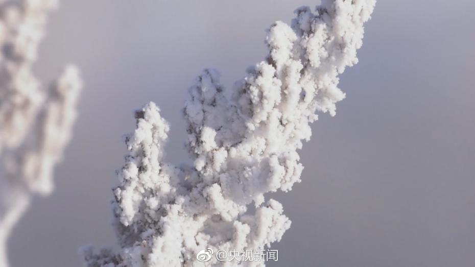 「中国一寒い村」の最低気温がマイナス33度に　黒竜江省