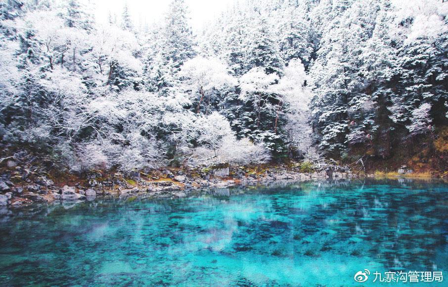 九寨溝で初雪観測　仙境のように幻想的な風景　四川省