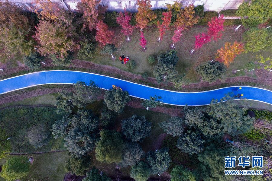 エコ・低炭素の交通を提唱　浙江省で「緑の遊歩道」が開通