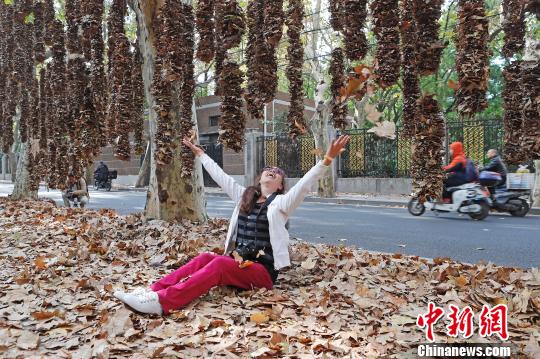 上海市の街中に落ち葉アートスポット登場
