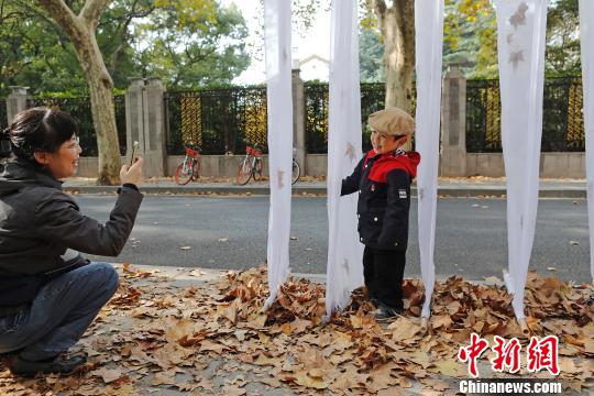 上海市の街中に落ち葉アートスポット登場