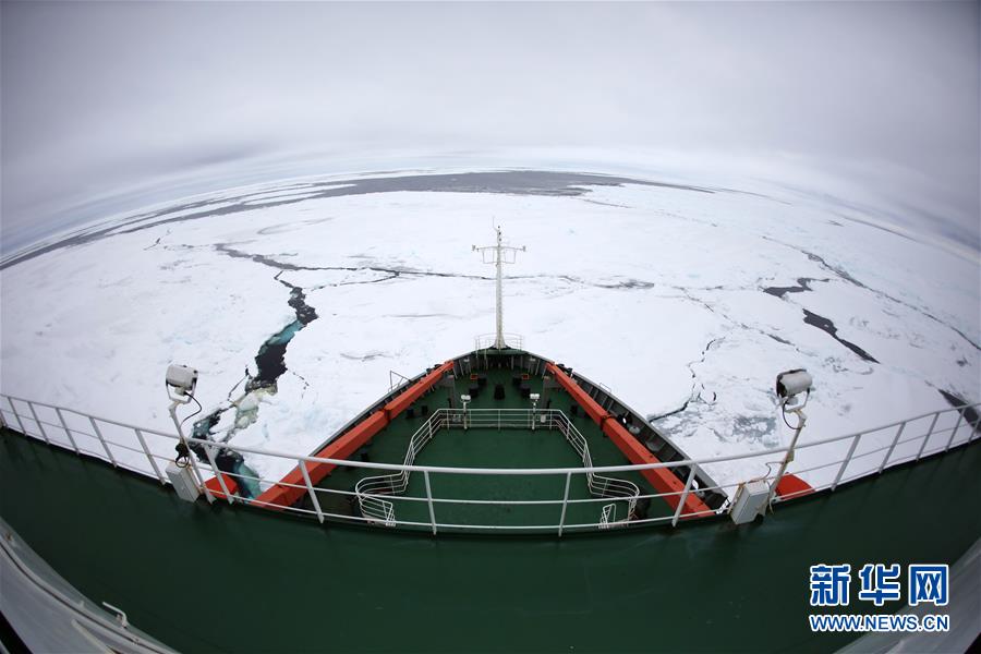 極地観測船「雪竜号」、南極に到達