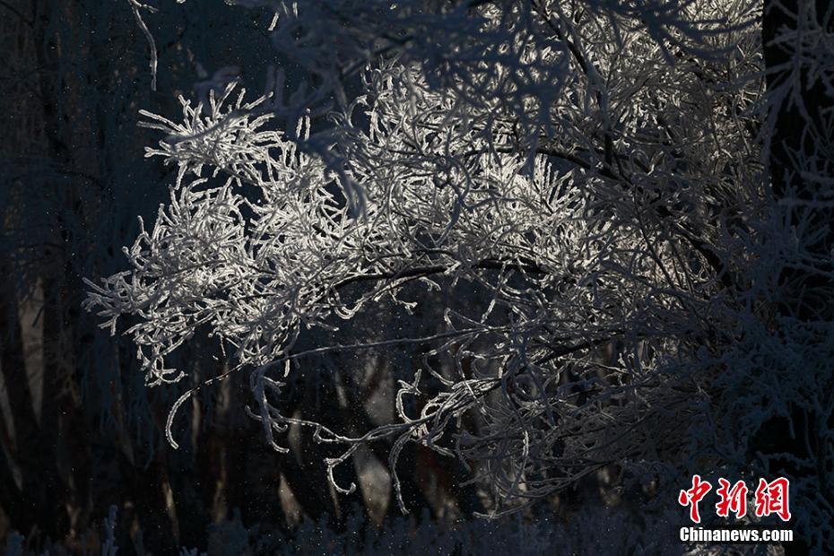 幻想的で美しい樹氷景色広がる新疆カバ県