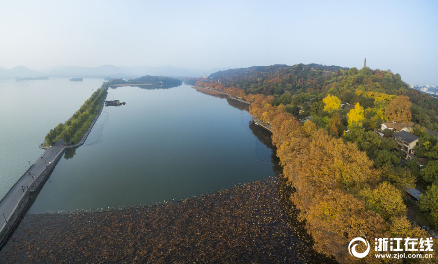 冬の杭州　様々な色に染まった湖畔の木々