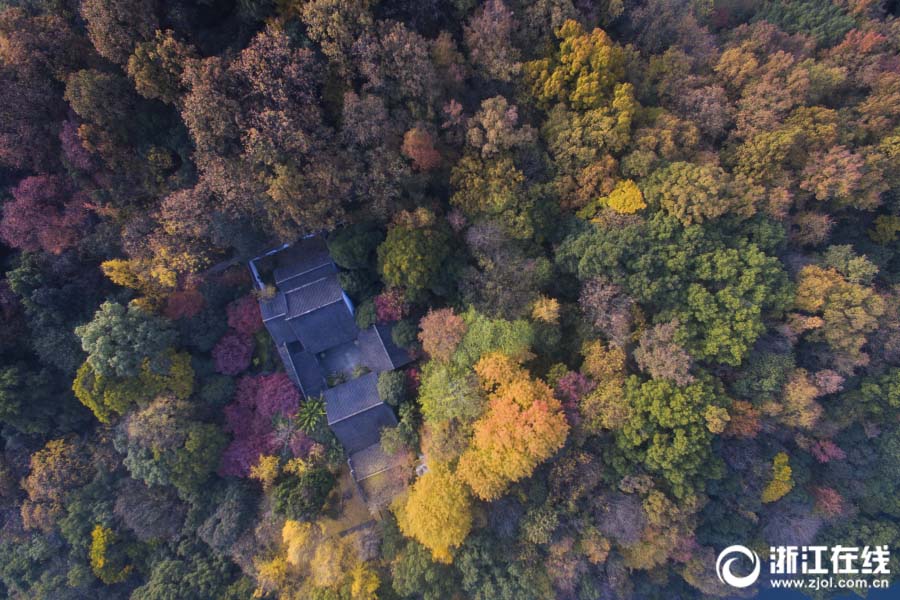 冬の杭州　様々な色に染まった湖畔の木々
