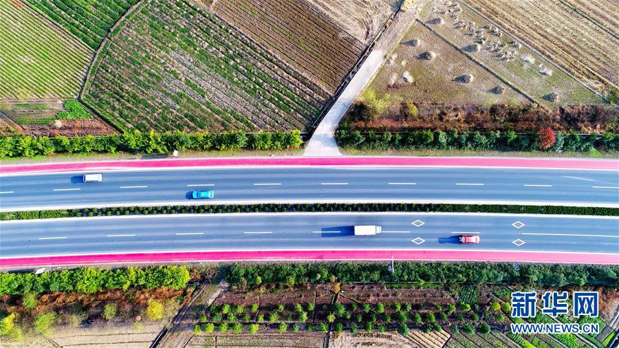 道路に明るい彩り添える　浙江省の省道にカラフルな自転車専用レーン登場