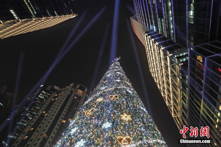 上海の街中に高さ23メートルのクリスマスツリー点灯