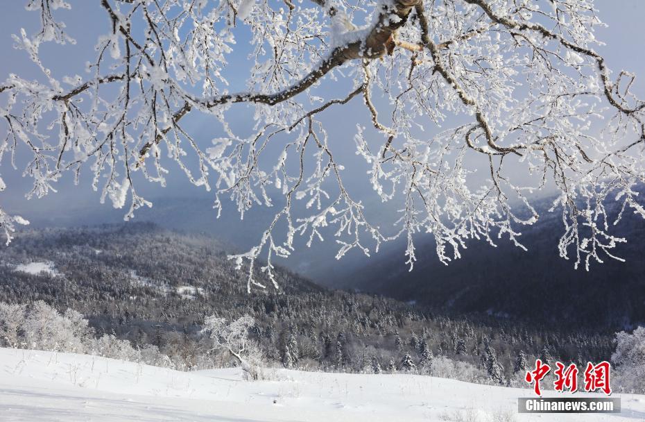 あたり一面に広がる美しい樹氷　黒竜江省鳳凰山国家森林公園