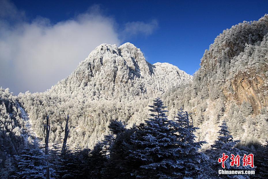 銀の装いをまとった木々　四川省の景勝地の美しい雪景色