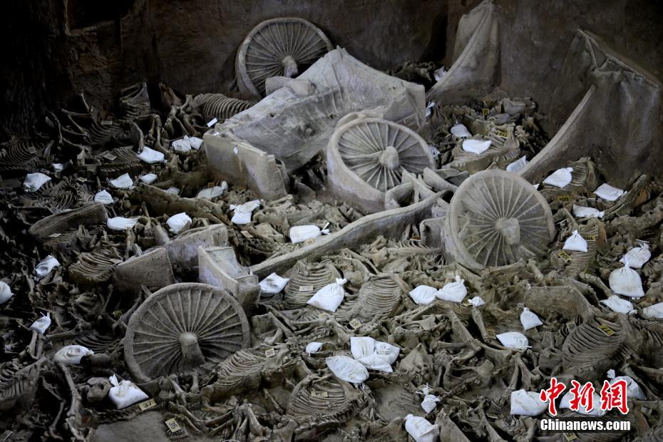 河南省の鄭韓故城から出土の2400年前の豪華な馬車の様子明らかに