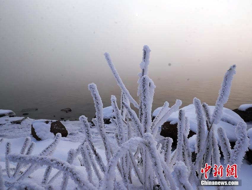 松花江の岸辺に続く幻想的な樹氷　吉林省
