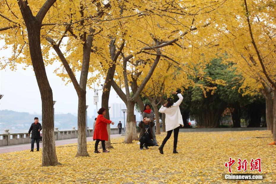 秋の風景と風情留める　宜昌市の各観光地で落ち葉の景観保存　湖北省