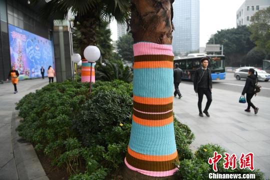 重慶市内の街路樹、「ニット」の防寒服でポカポカ