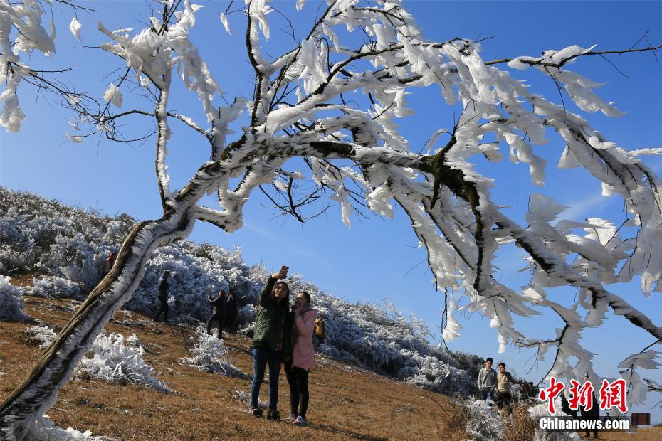 山肌一面に広がる幻想的な樹氷　江西省石城県八卦脳景勝区