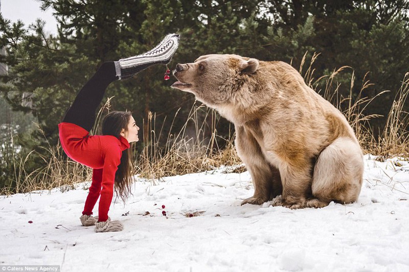 体操女子、雪の世界で熊とパフォーマンス