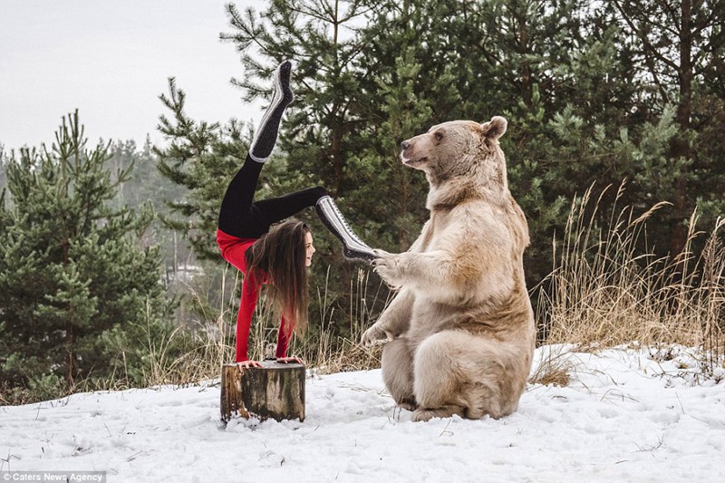 体操女子、雪の世界で熊とパフォーマンス
