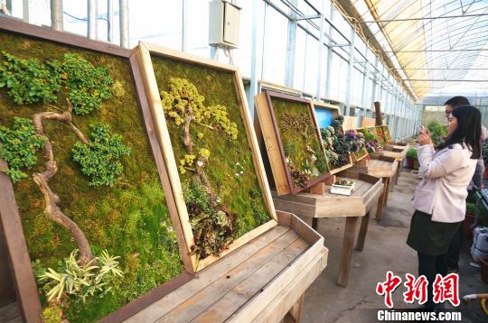 木枠に植物を植えこんで描いた壁掛け植物アート