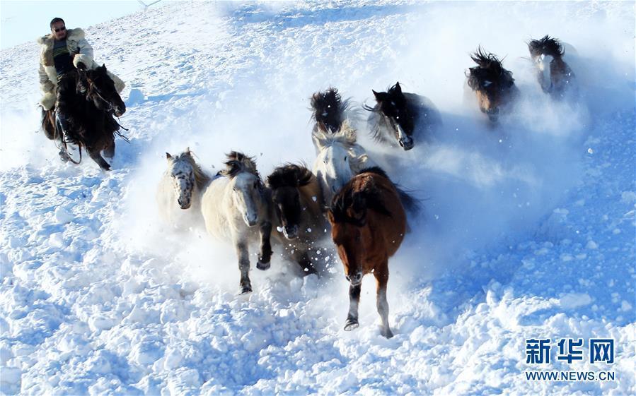 雪原で馬馴らしをする牧畜民　 冬季観光シーズンの内蒙古