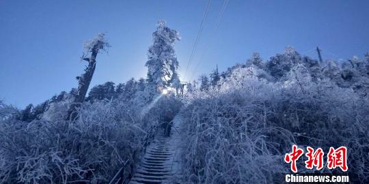 瓦屋山景勝地で今年最初の雪　人々魅了する樹氷広がる　四川省
