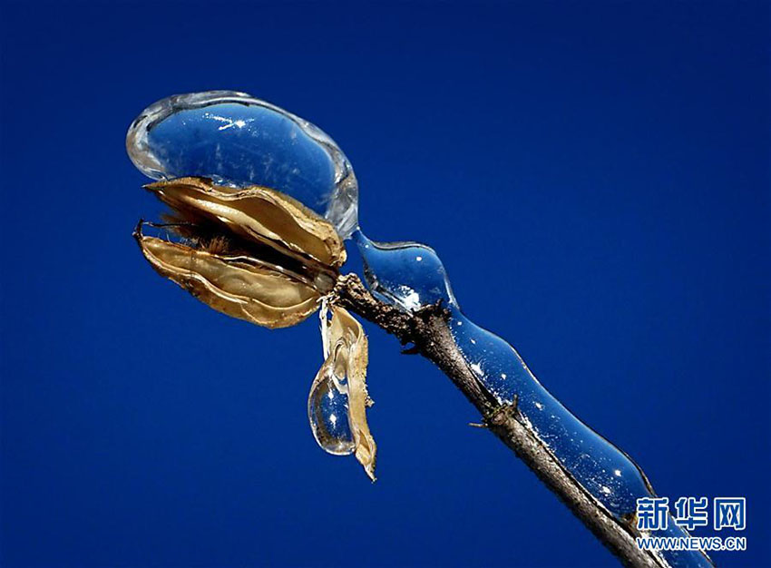 自然界が作り出した幻想的な美しさの「ミクロ世界の氷の彫刻」　河南省