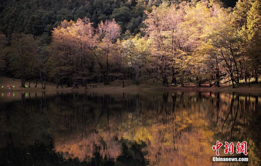 青い湖と緑の森林が織りなす見事なコラボ　四川省黒竜潭景勝地