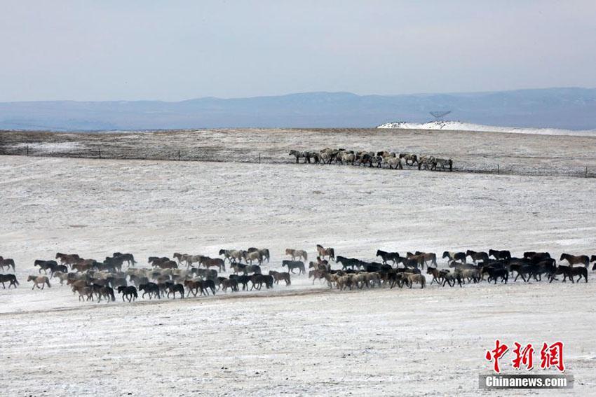 内蒙古自治区錫林郭勒盟で2018年氷雪ナーダムが開催