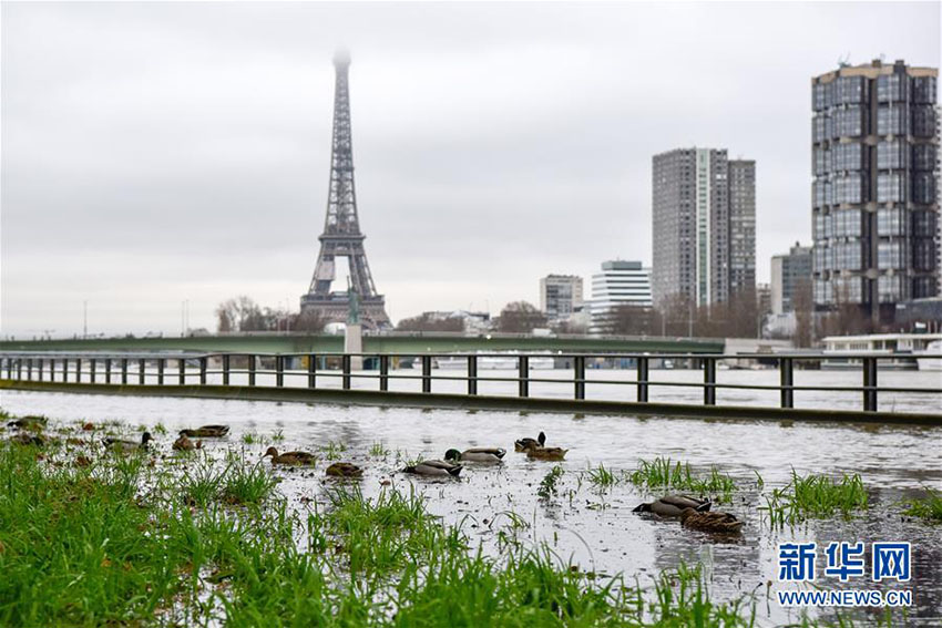 フランス気象局、洪水オレンジ警報を発令