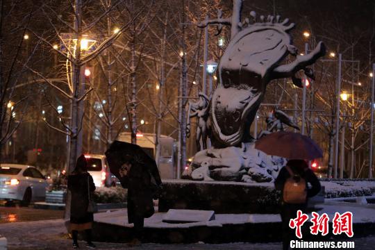 上海で今年初の降雪　市内は北国のような雪景色に