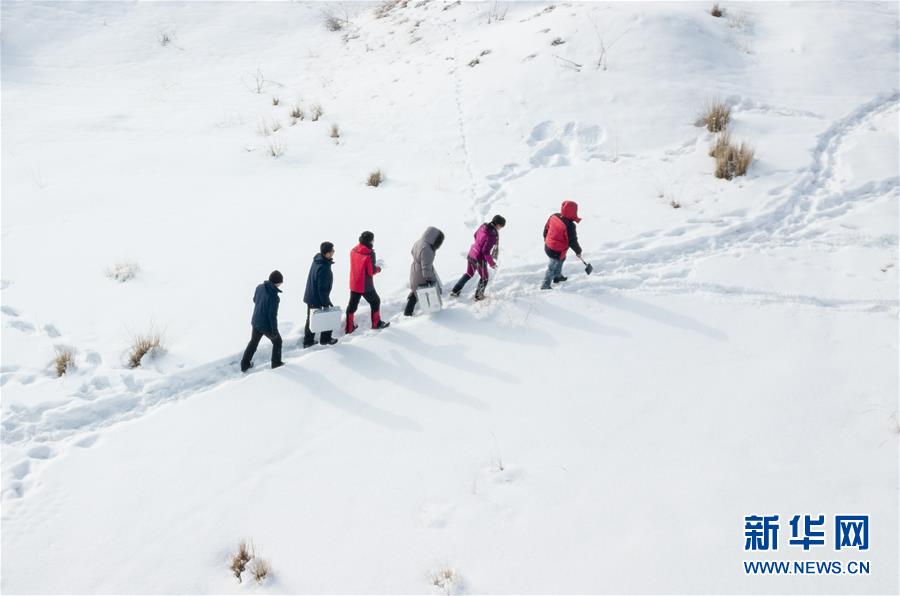 中国科学院が天山中腹の積雪の特徴を調査