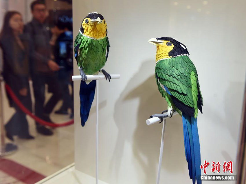 香港地区で鳥のペーパークラフト展　絶滅危惧種の鳥について学ぶ機会に
