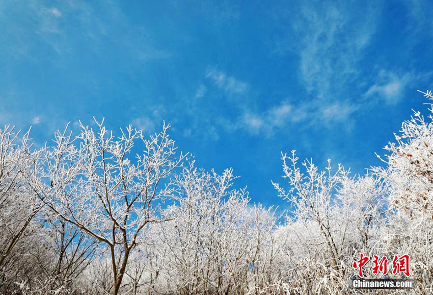 湖北省保康県後坪鎮で観測された美しい樹氷の景色