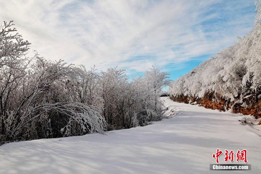 湖北省保康県後坪鎮で観測された美しい樹氷の景色