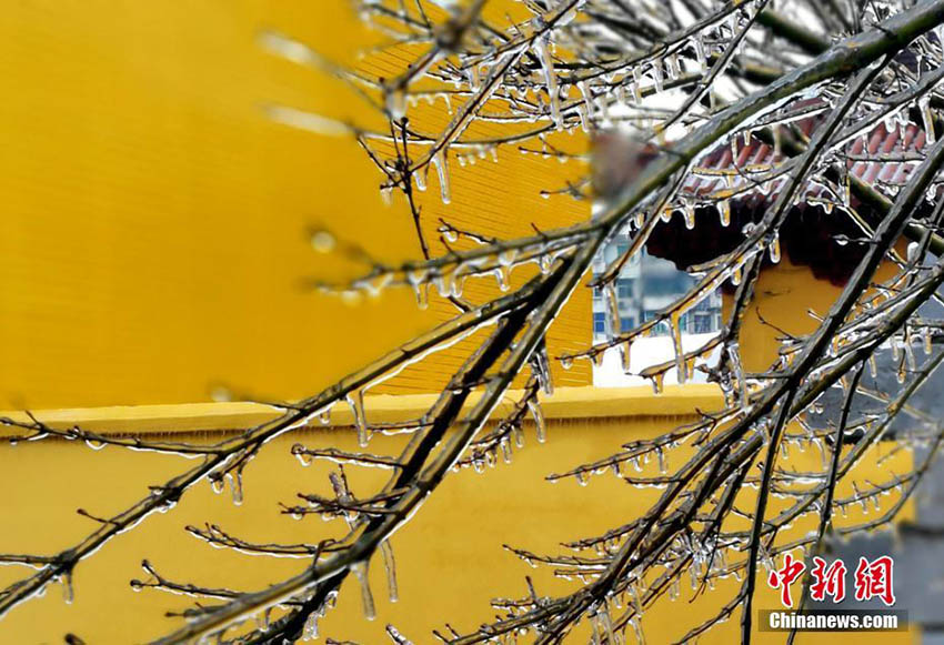 厳かな雰囲気漂う黄色い壁と赤い瓦、古刹の趣ある冬景色　江西省