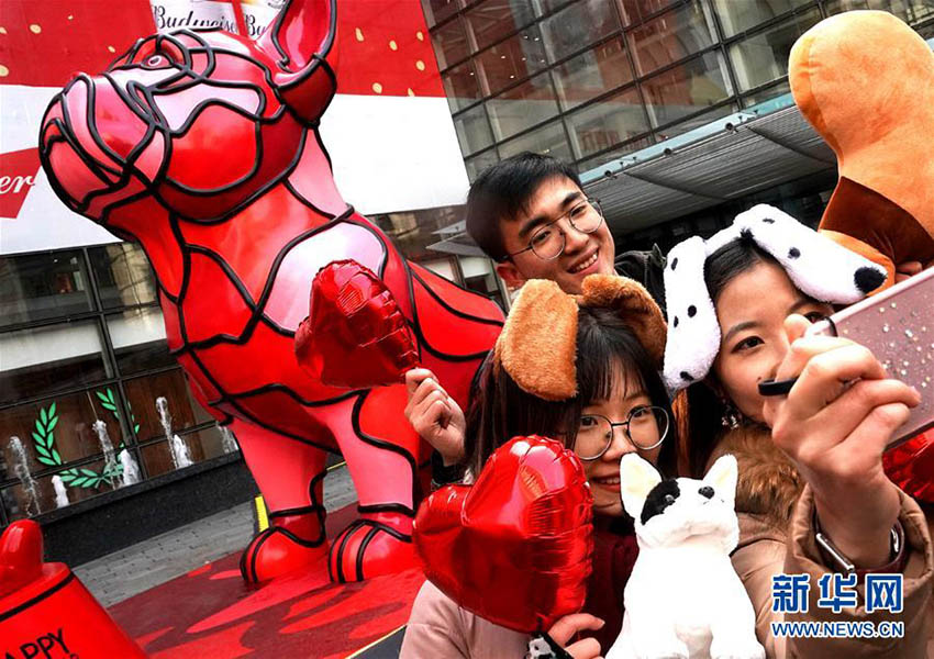 縁起の良い赤が特徴　上海市内に春節用の犬のオブジェが登場