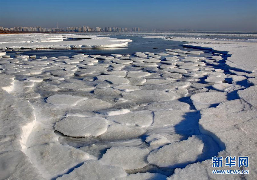 秦皇島市の海岸線沿いで海面凍結　氷の海と化す