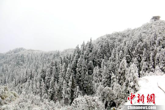 四川の古藺県の山が雪化粧　絵に描いたような絶景広がる