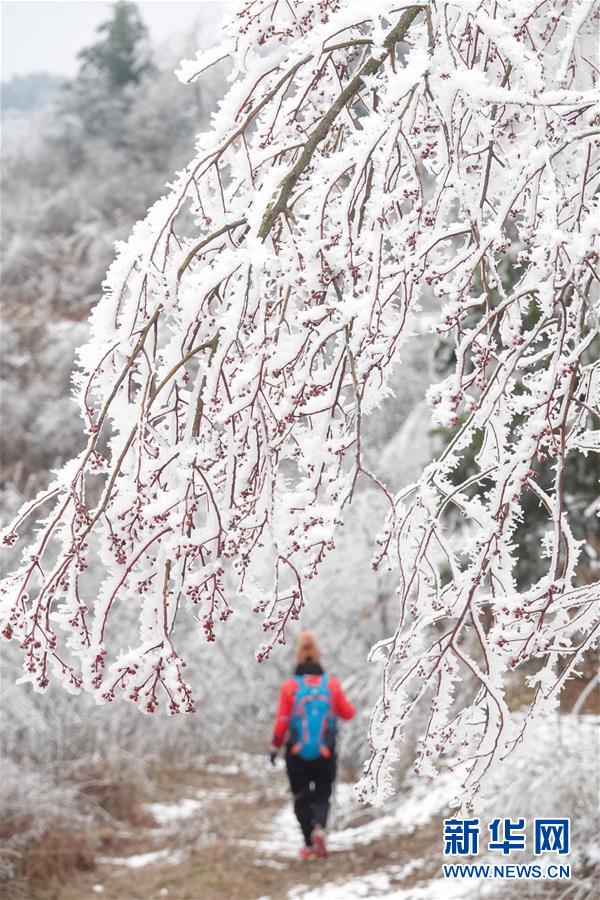 白銀の美しい景色広がる　貴州省雲霧山の雪景色