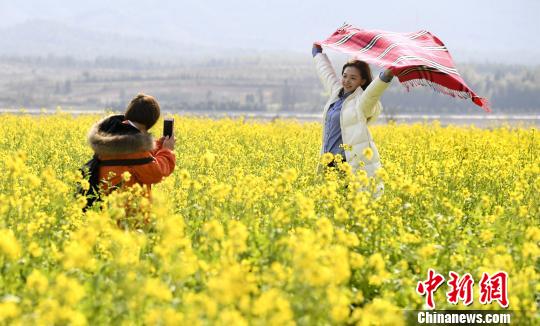 新余市の菜の花畑が開花期迎える　江西省
