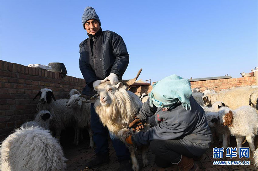 モンゴル族の「小年」を祝う伝統行事　内蒙古自治区