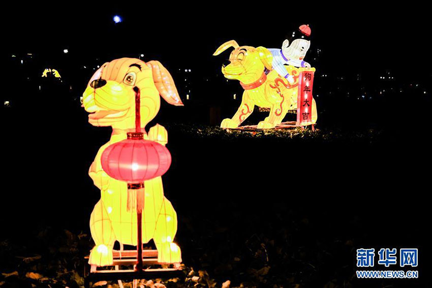 水上と陸に鮮やかに灯る新年の灯籠、烏鎮景勝地の「水灯会」　浙江省