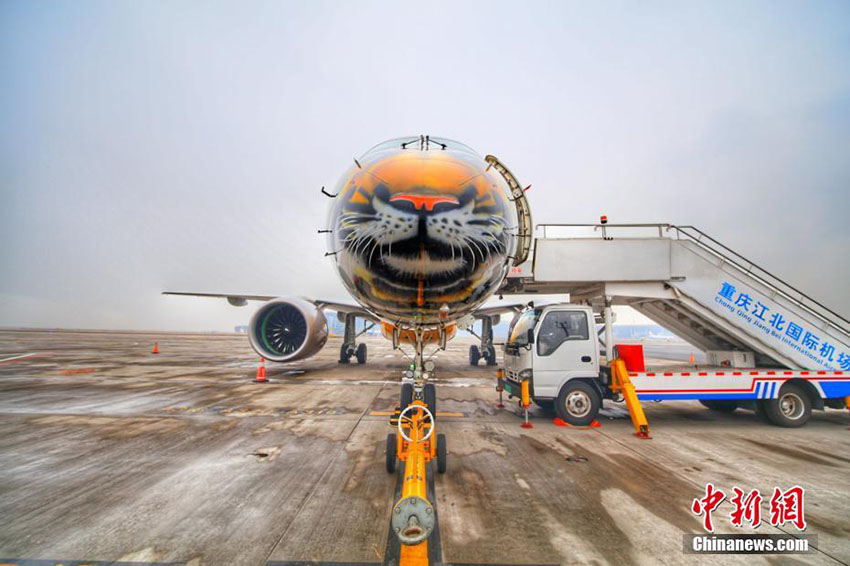 トラがペイントされたブラジル航空の旅客機、重慶の空港に着陸