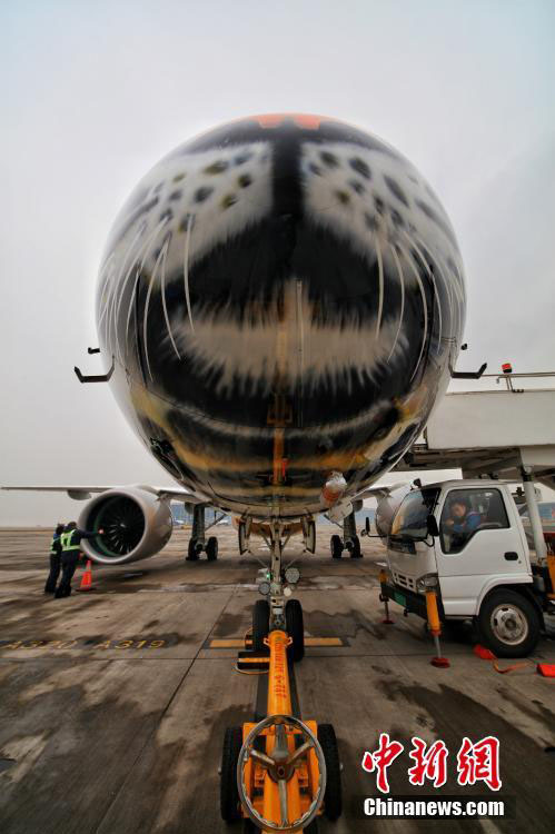 トラがペイントされたブラジル航空の旅客機、重慶の空港に着陸