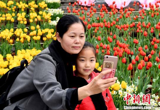 福建省の福州温泉公園でチューリップ咲き誇る　多くの観光客を魅了